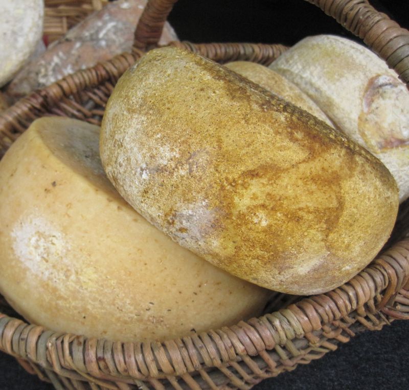 Formaggio di fossa di Sogliano DOP