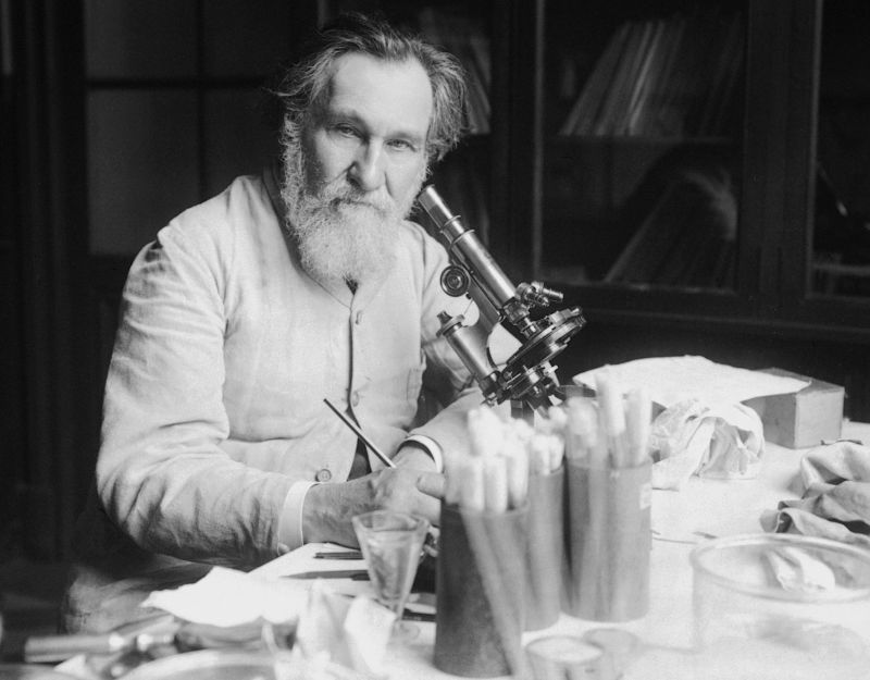 Metchnikoff I Batteri Intestinali E La Longevit 