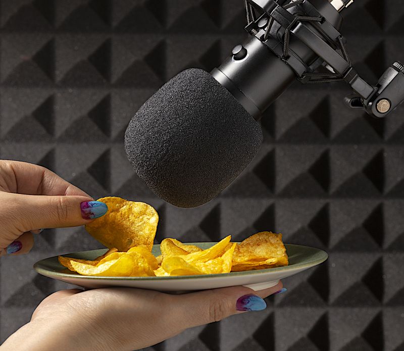 Food podcast e asrm